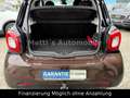 smart forFour Passion*Panorama*LED*AHK*Alus*Top Marrón - thumbnail 8