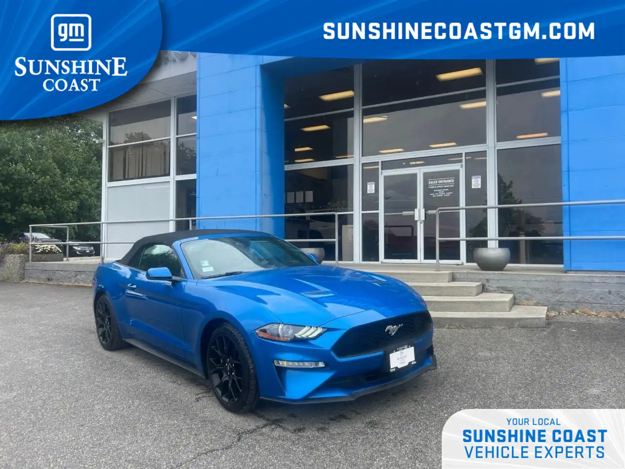 2019 Ford Mustang