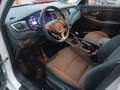 Kia Carens 1.7CRDi Drive 115 Blanco - thumbnail 17
