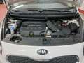 Kia Carens 1.7CRDi Drive 115 Blanco - thumbnail 32