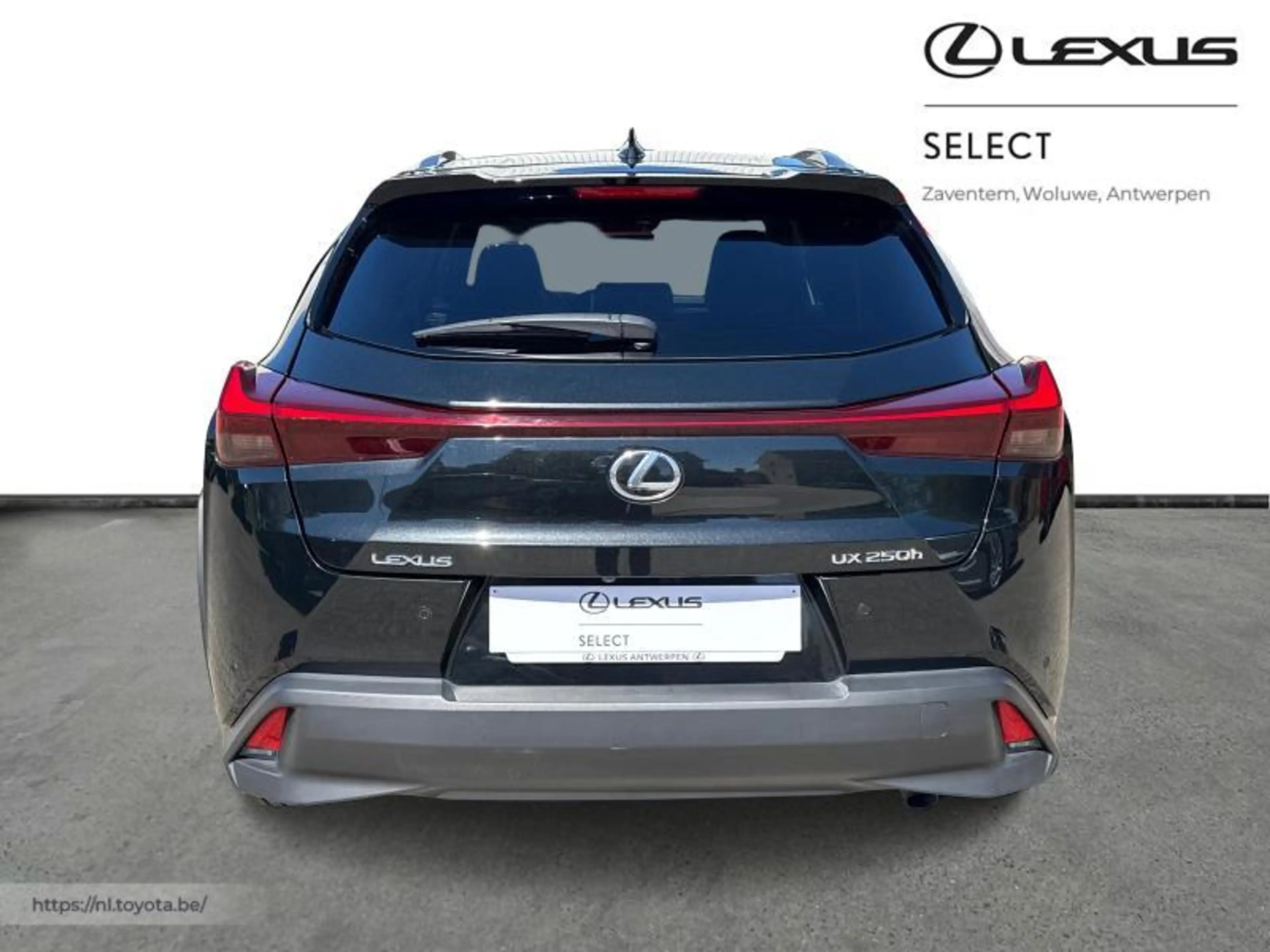 Lexus UX 250h Executive Line + Pano — photo 4