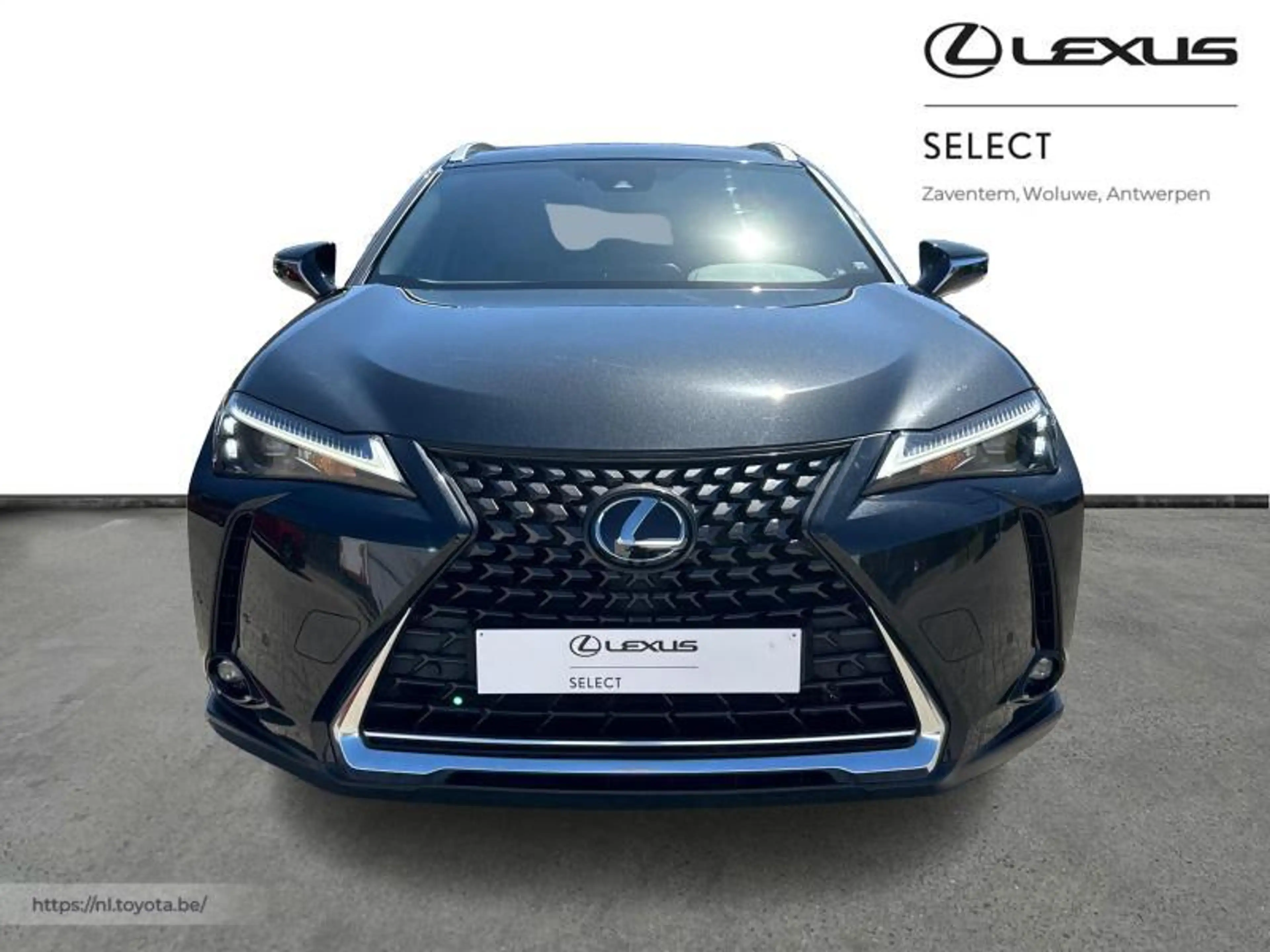 Lexus UX 250h Executive Line + Pano — photo 5