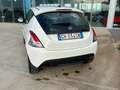 Lancia Ypsilon 1.0 hybrid possibilità noleggio no scoring Blanc - thumbnail 4