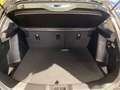 Suzuki S-Cross 1,4 GL Hybrid ALLGRIP shine 6AT Schwarz - thumbnail 6