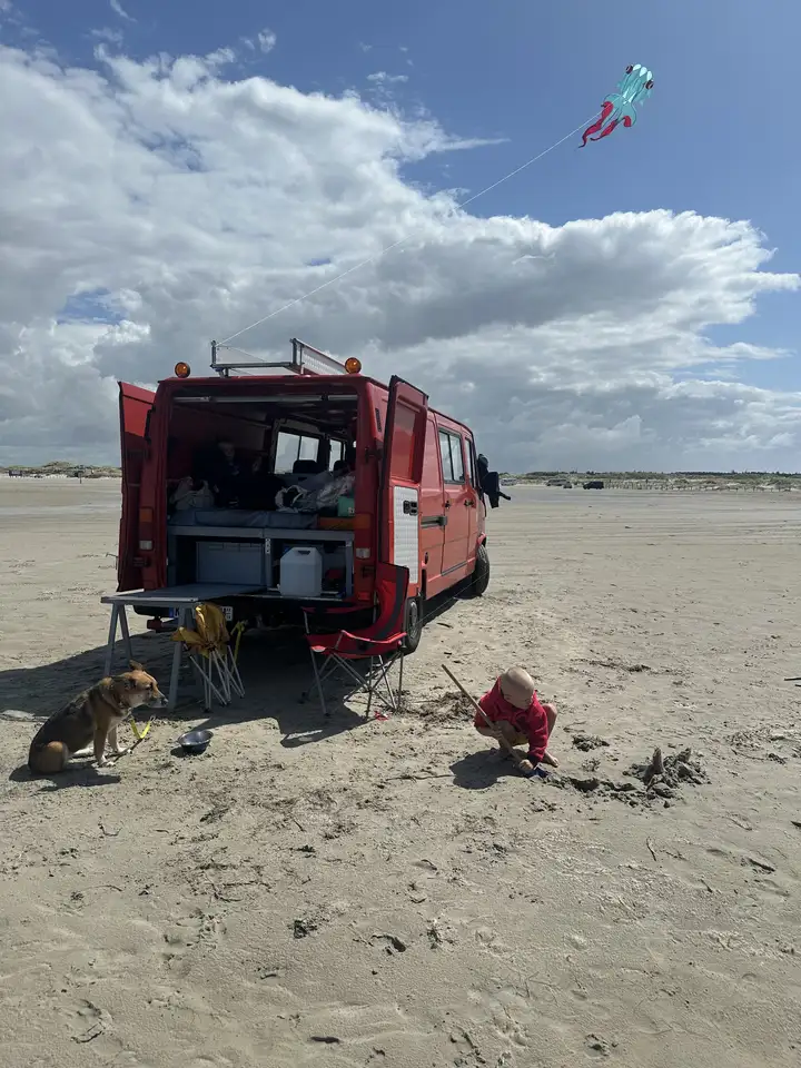 Mercedes-Benz T1 310 602.062, foto 11