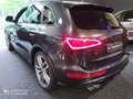 Audi SQ5 3.0 TDI Q5 Plus quattro Pro Line PANODAK 340PK NAV Schwarz - thumbnail 8
