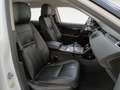 Land Rover Range Rover Evoque S Blanco - thumbnail 11