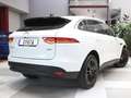 Jaguar F-Pace 2.0i4D Pure Aut. AWD 180 Blanco - thumbnail 2