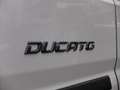 Fiat Ducato 2.2 MultiJet 140 S&S L3H2 3.5t Wit - thumbnail 8
