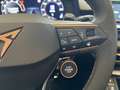 CUPRA Terramar VZ 265PS 4Drive AHK|Pano|Sennhsr|20 Blau - thumbnail 19