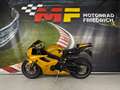 Triumph Daytona 675 Gold - thumbnail 2