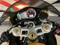 Triumph Daytona 675 Gold - thumbnail 21