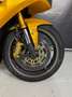 Triumph Daytona 675 Gold - thumbnail 3