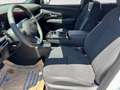 Hyundai TUCSON Tucson 1,6 T-GDI HEV 4WD 20th Anniversary Aut. Schwarz - thumbnail 8