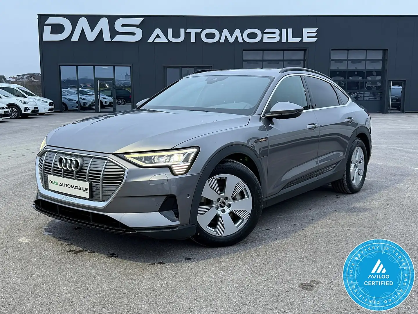 Audi e-tron SB Sportback 55 quattro 95kWh Business *PANORAM... Grau - 1