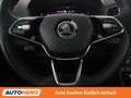 Skoda Karoq 1.5 TSI ACT Style Grau - thumbnail 19