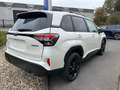 Subaru Forester 2.0i e-Boxer "Luxury Black Edition' CVT | Safe8 Blanc - thumbnail 6