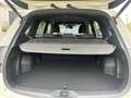 Subaru Forester 2.0i e-Boxer "Luxury Black Edition' CVT | Safe8 Blanc - thumbnail 8
