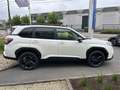 Subaru Forester 2.0i e-Boxer "Luxury Black Edition' CVT | Safe8 Blanc - thumbnail 5