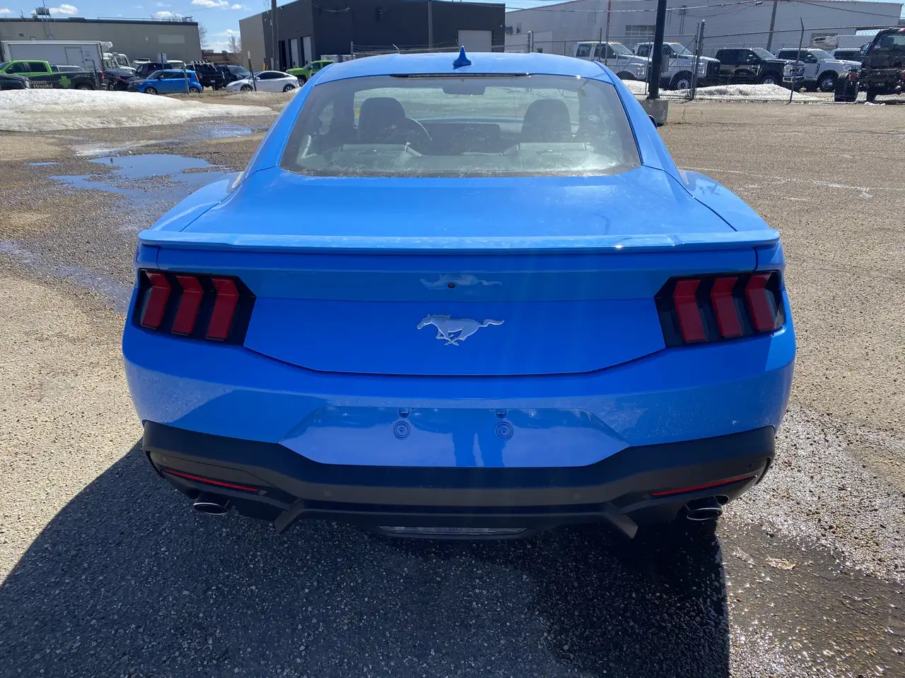 Ford Mustang снимка Ford Mustang