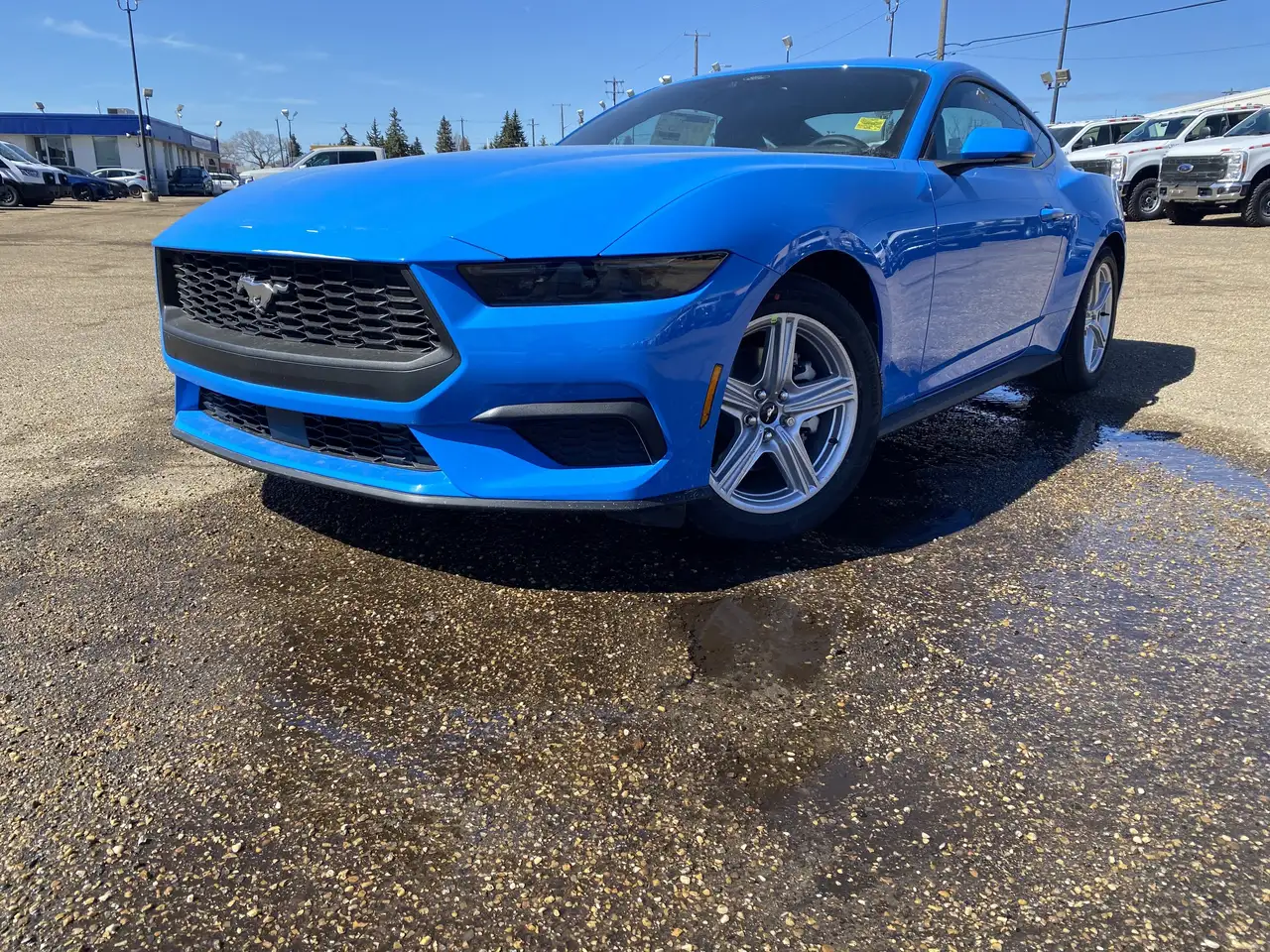 Ford Mustang снимка Ford Mustang