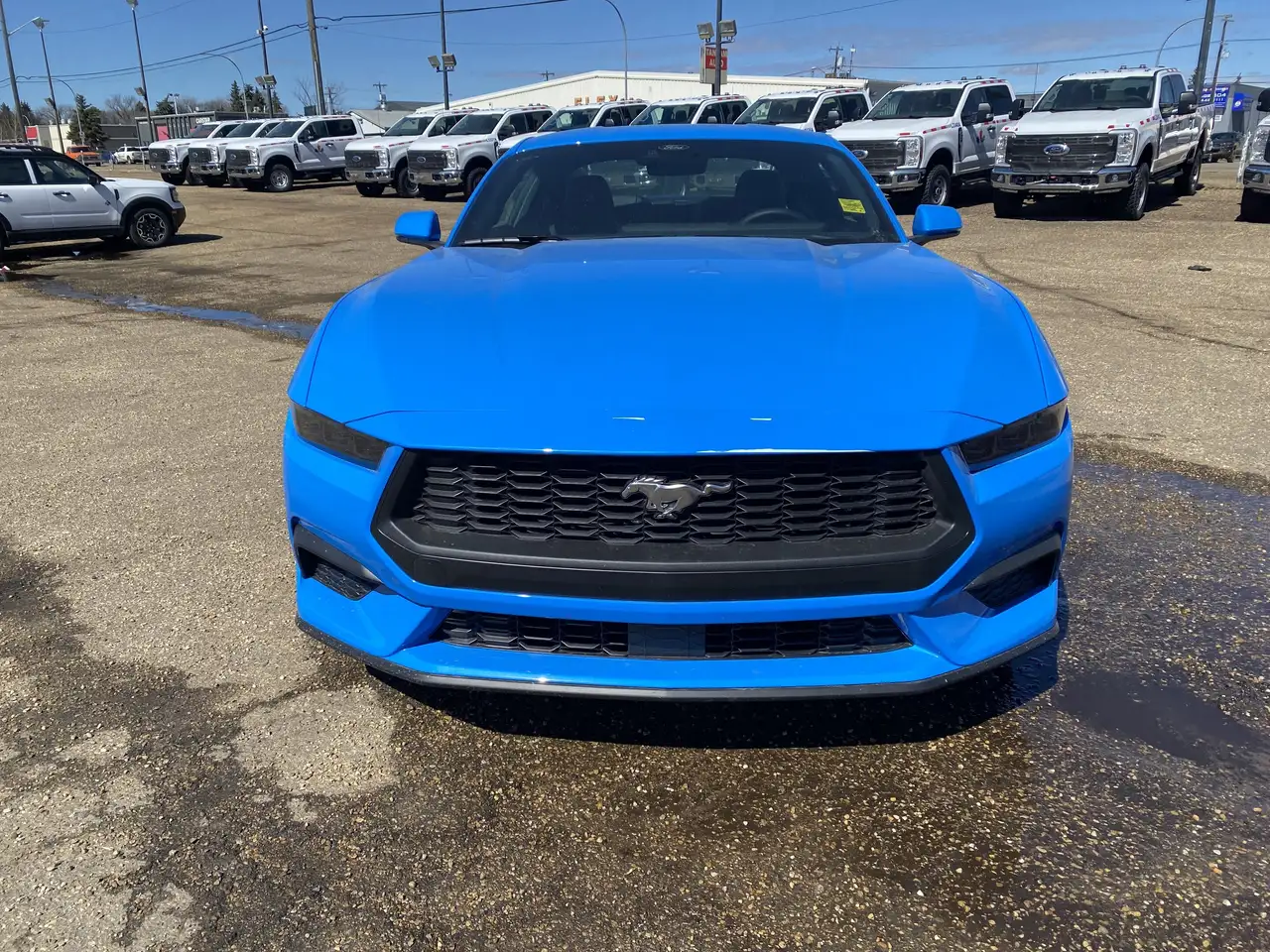 Ford Mustang снимка Ford Mustang