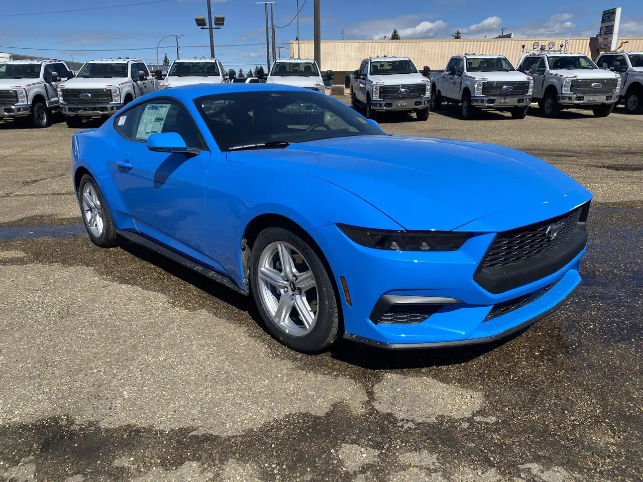 Ford Mustang снимка Ford Mustang