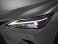 Lexus NX 350h Business City 2WD Plateado - thumbnail 27