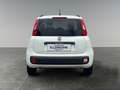 Fiat Panda 1.2 69 Lounge       8-fach bereift! Weiß - thumbnail 4