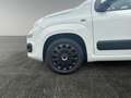 Fiat Panda 1.2 69 Lounge       8-fach bereift! Weiß - thumbnail 13