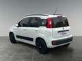 Fiat Panda 1.2 69 Lounge       8-fach bereift! Weiß - thumbnail 3