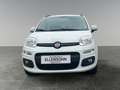 Fiat Panda 1.2 69 Lounge       8-fach bereift! Weiß - thumbnail 7