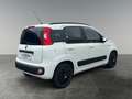 Fiat Panda 1.2 69 Lounge       8-fach bereift! Weiß - thumbnail 5