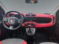 Fiat Panda 1.2 69 Lounge       8-fach bereift! Weiß - thumbnail 9