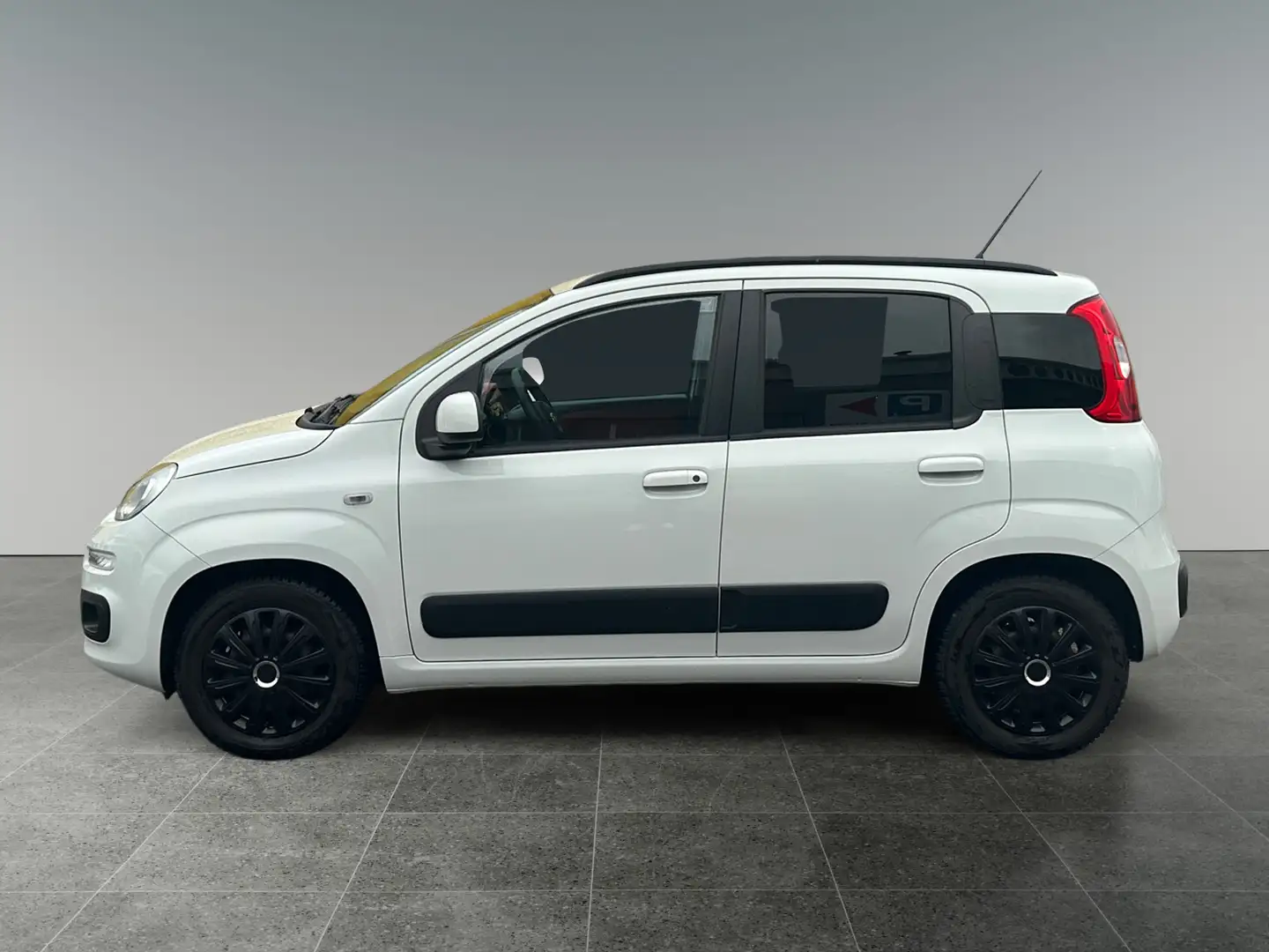 Fiat Panda 1.2 69 Lounge       8-fach bereift! Weiß - 2