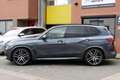 BMW X5 XDrive40i High Executive. pano. soft close. comfor Gris - thumbnail 3