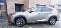 Lexus NX 300h 2.5i AWD Executive Line E-CVT Grijs - thumbnail 4
