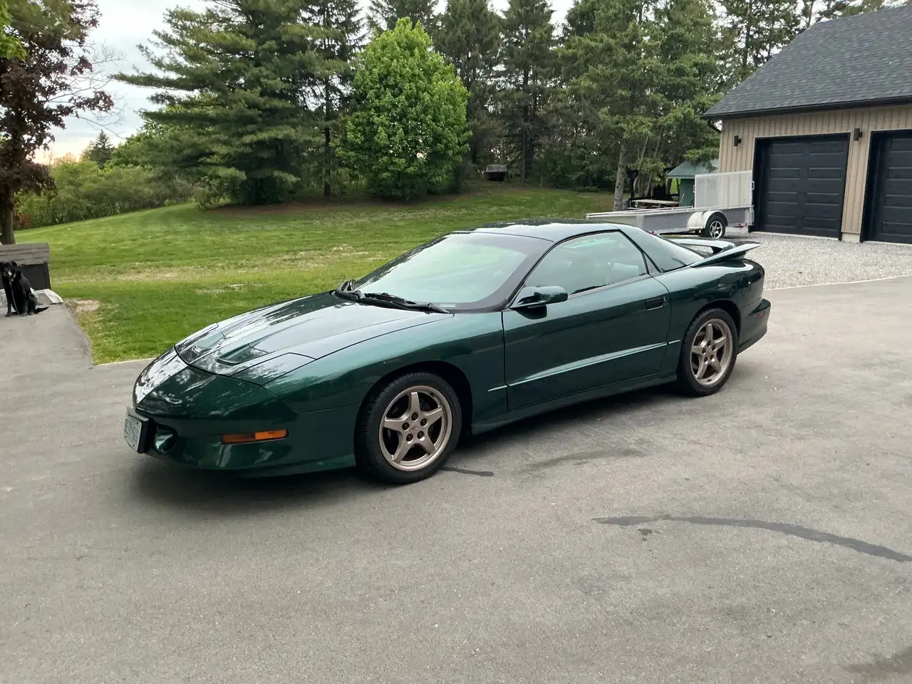 1995 Pontiac Firebird