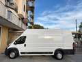 Fiat Ducato 2.3 MJT 130CV L4 H3 Maxi FURGONE. Blanc - thumbnail 7