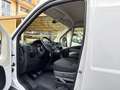 Fiat Ducato 2.3 MJT 130CV L4 H3 Maxi FURGONE. Blanc - thumbnail 11