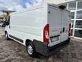 Fiat Ducato 2.3 mutijet2 130CV L2H1 Bianco - thumbnail 3