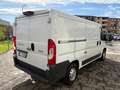 Fiat Ducato 2.3 mutijet2 130CV L2H1 Bianco - thumbnail 4