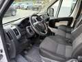 Fiat Ducato 2.3 mutijet2 130CV L2H1 Bianco - thumbnail 10