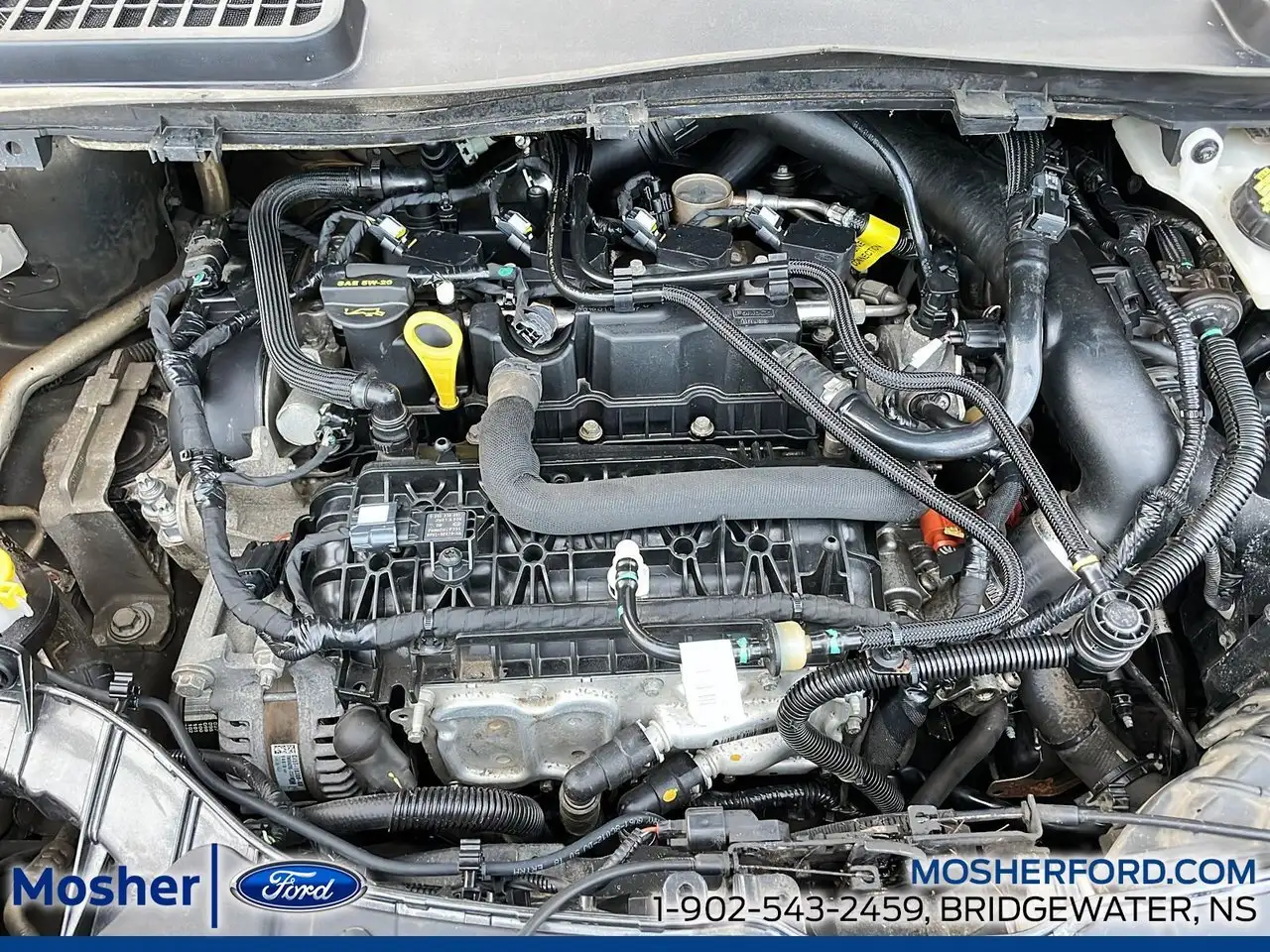 Ford Escape снимка Ford Escape