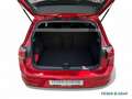 Volkswagen Golf VIII Style 1.5 TSI LED/RearView/Stand.-Sitz.-Lenkr Rot - thumbnail 7