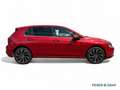 Volkswagen Golf VIII Style 1.5 TSI LED/RearView/Stand.-Sitz.-Lenkr Rot - thumbnail 3