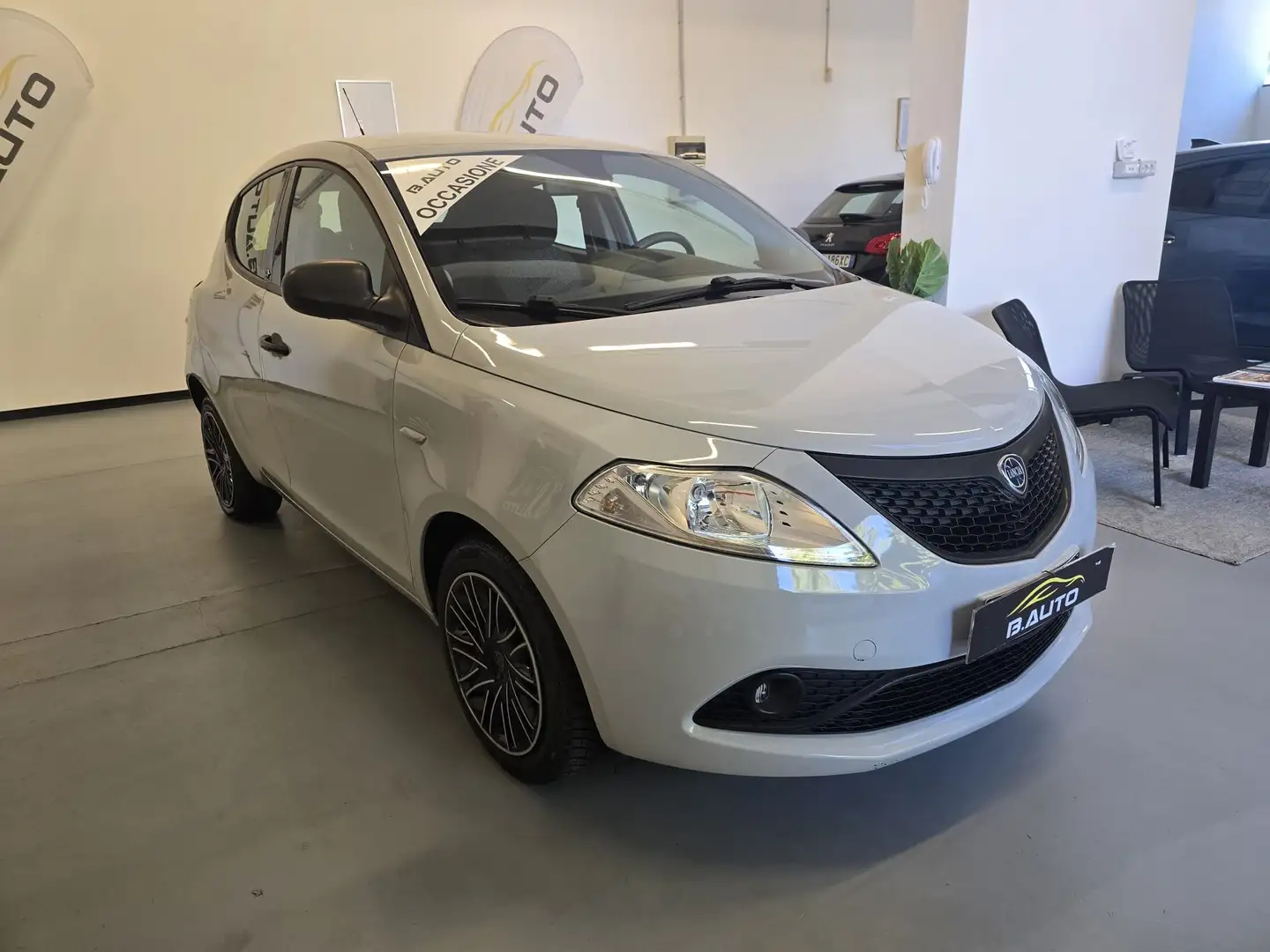 Lancia Ypsilon Ypsilon III 2015 1.2 Gold ecochic Gpl 69cv my19 Grau - 2