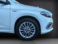 Fiat Tipo 1.3 Mjt S&S SW City Life Bianco - thumbnail 11