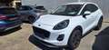 Ford Puma Titanium 1,0 EcoBoost Automatik Weiß - thumbnail 2