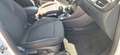 Ford Puma Titanium 1,0 EcoBoost Automatik Weiß - thumbnail 8